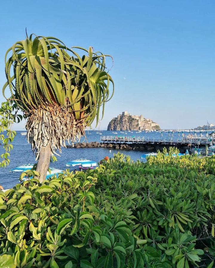 Maison Mele Ischia Extérieur photo